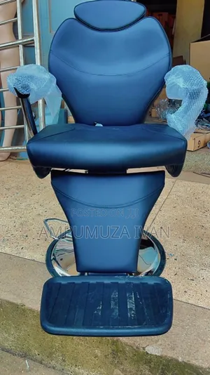 Scrub and Massage Chair 261b