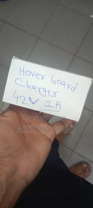 Hoverboard Charger With Power Cable 36V Out Put 42V 2 N 1 Am