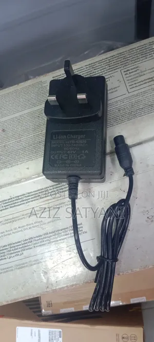 Hoverboard Charger With Power Cable 36V Out Put 42V 2 N 1 Am
