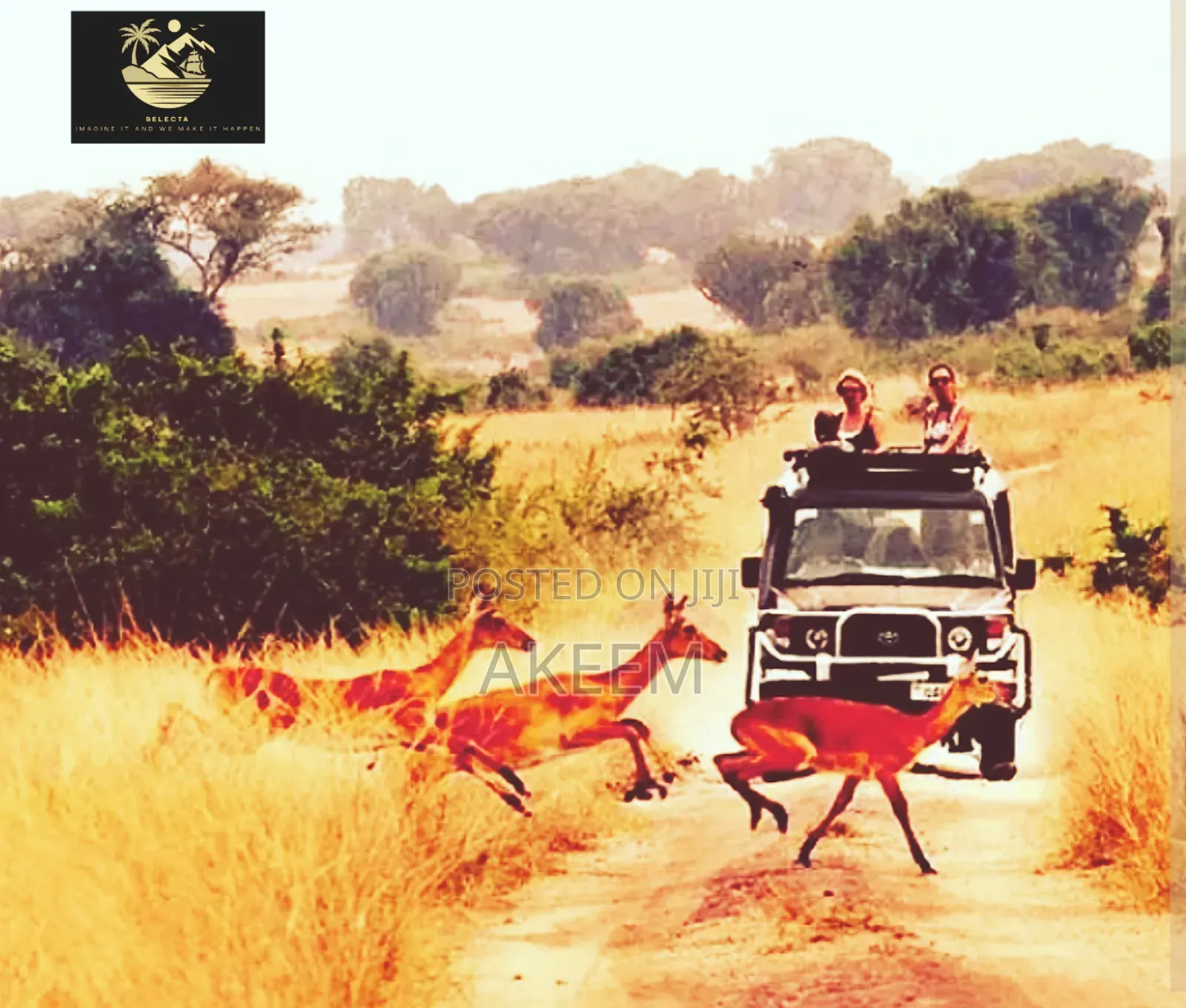 Your Supreme Holiday/Safari Makers