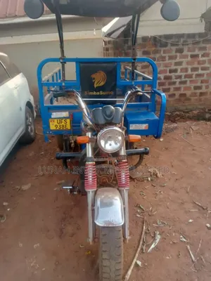 Tricycle 2023 Blue