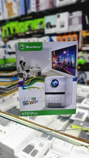 Smart Berry HT01