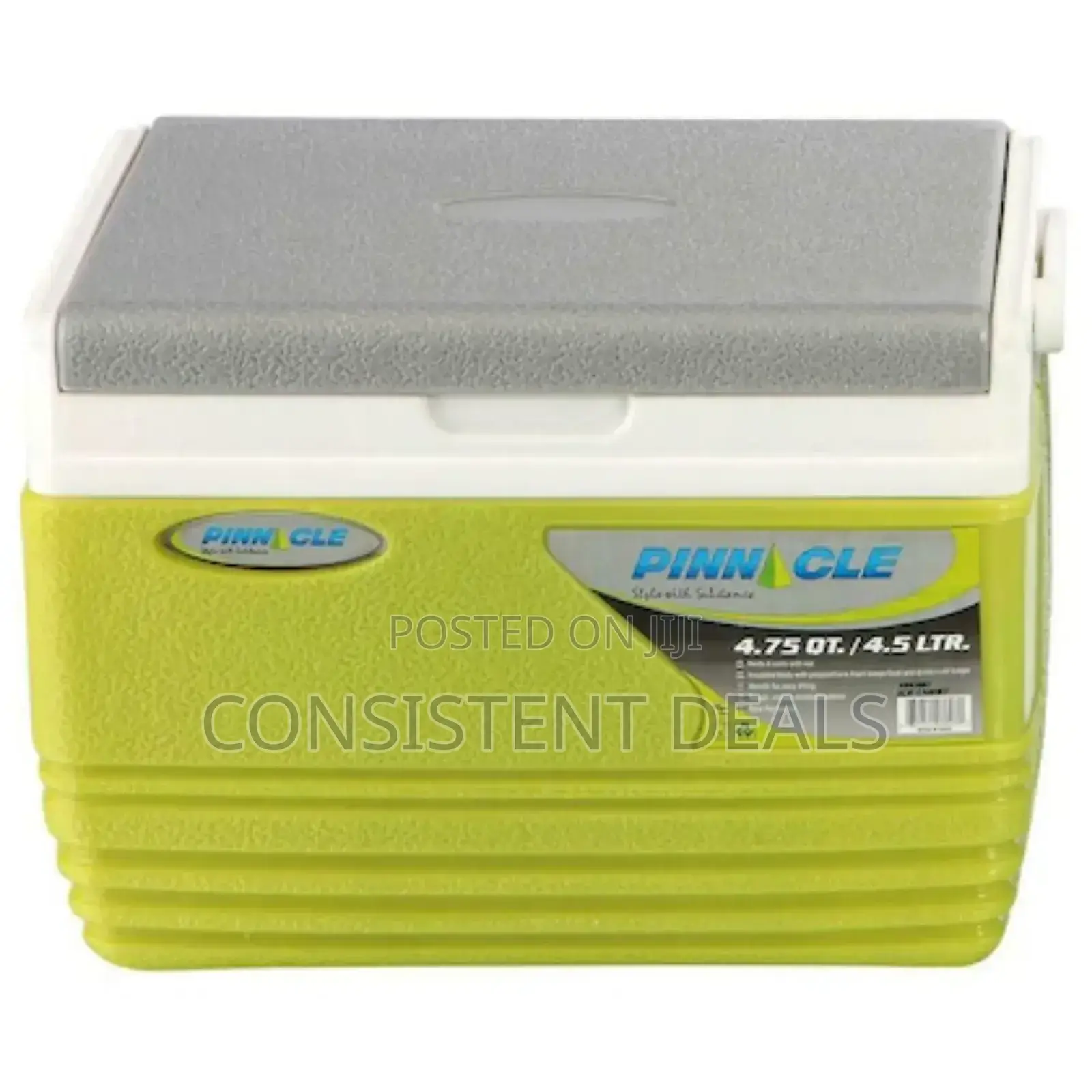 Pinnacle 4.5L Ice Cooler Box