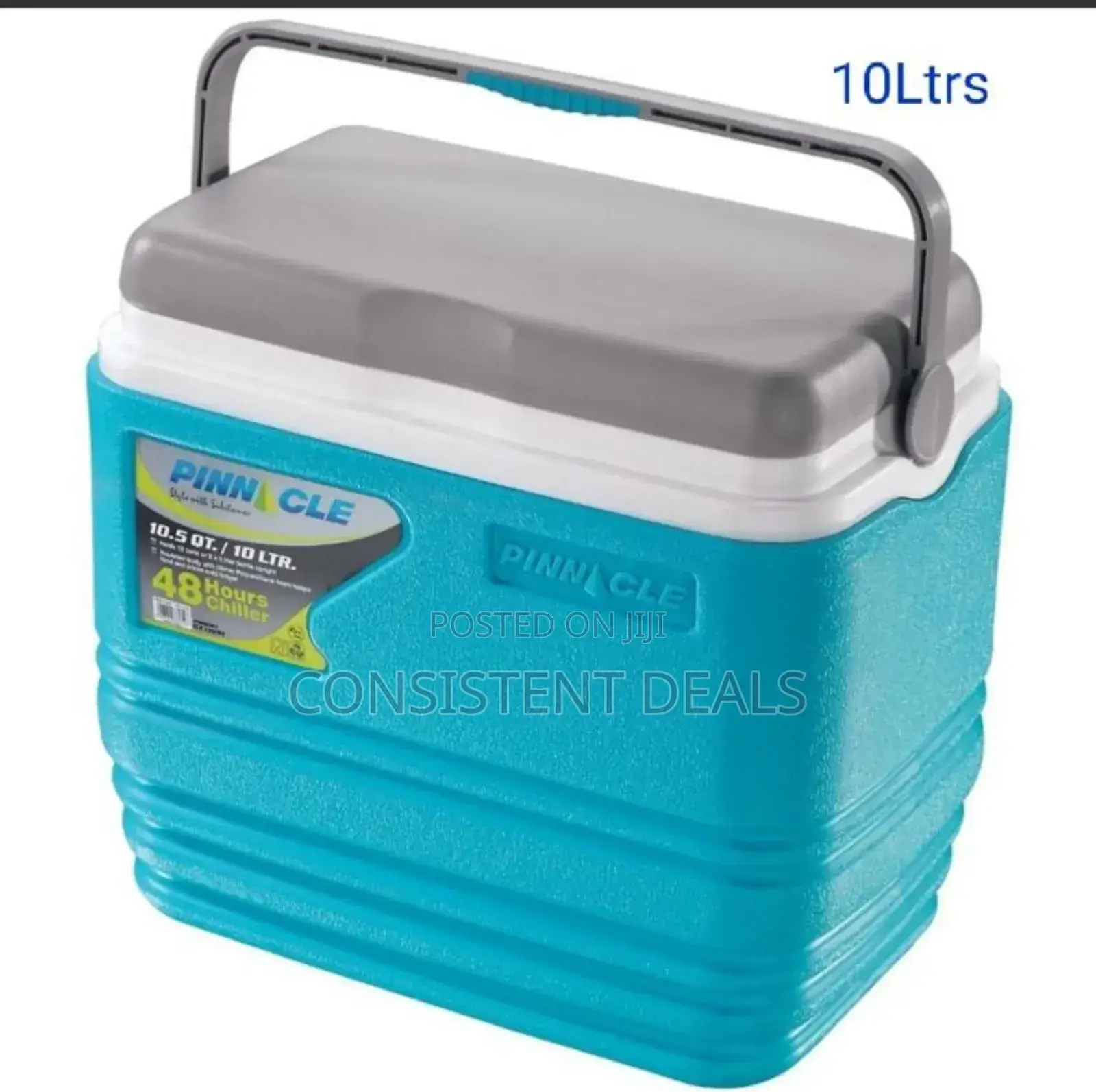 Pinnacle 10litres Ice Cooler Box