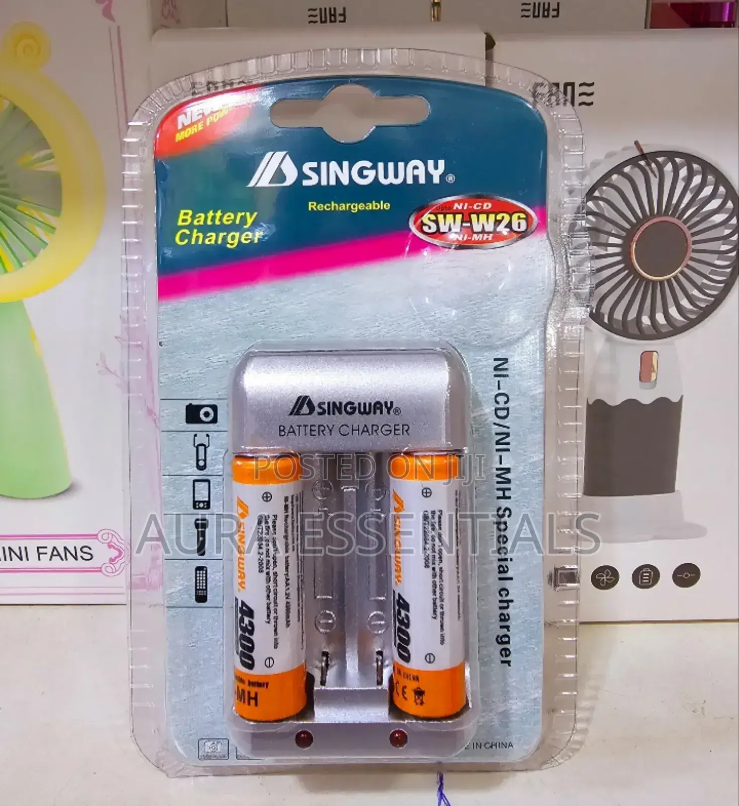 SINGWAY Battery Charger