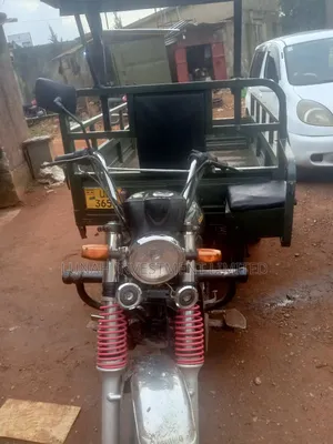 Tricycle 2023 Green