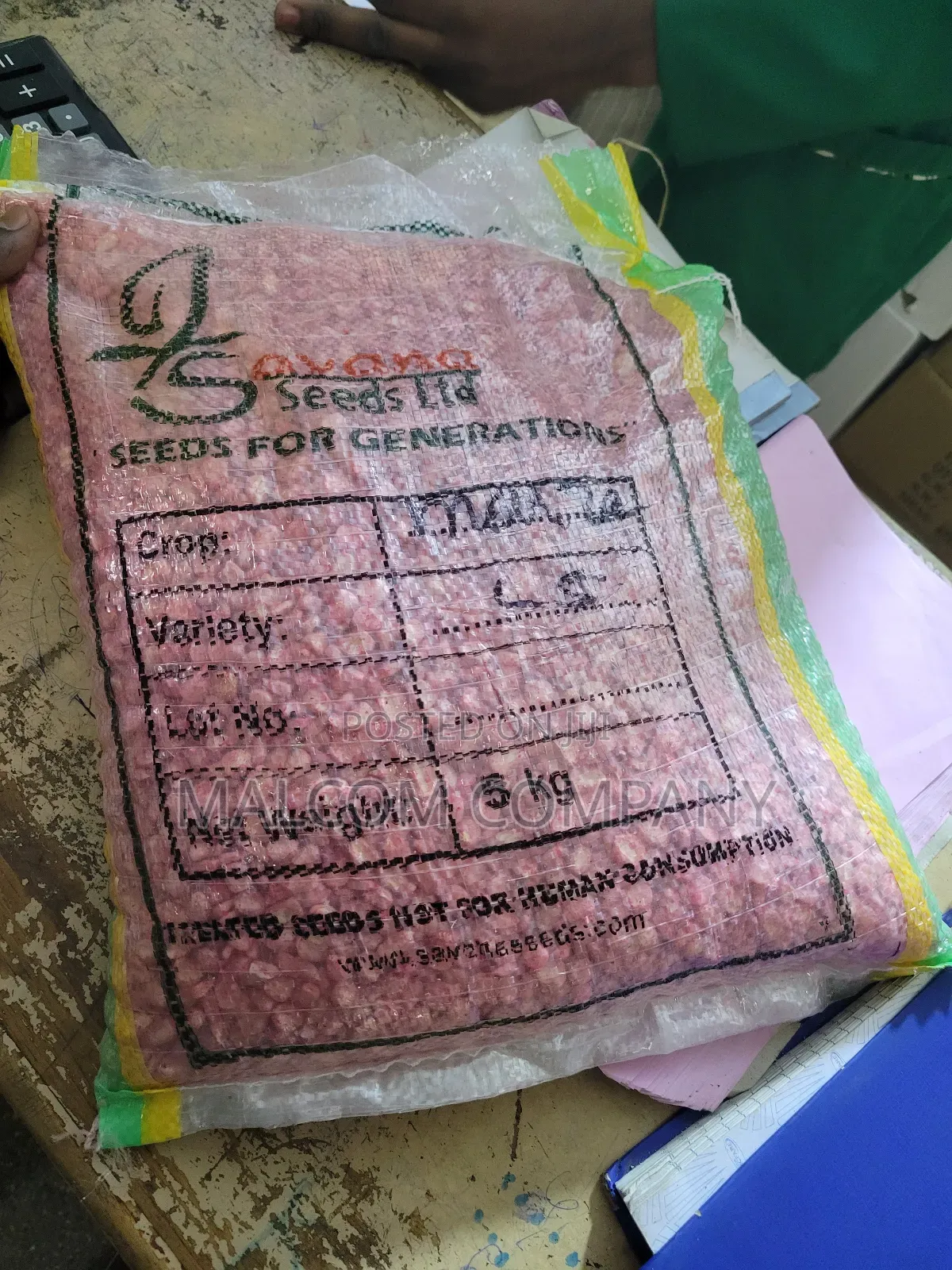 High Quality Maize Seeds Longe 5 5kg