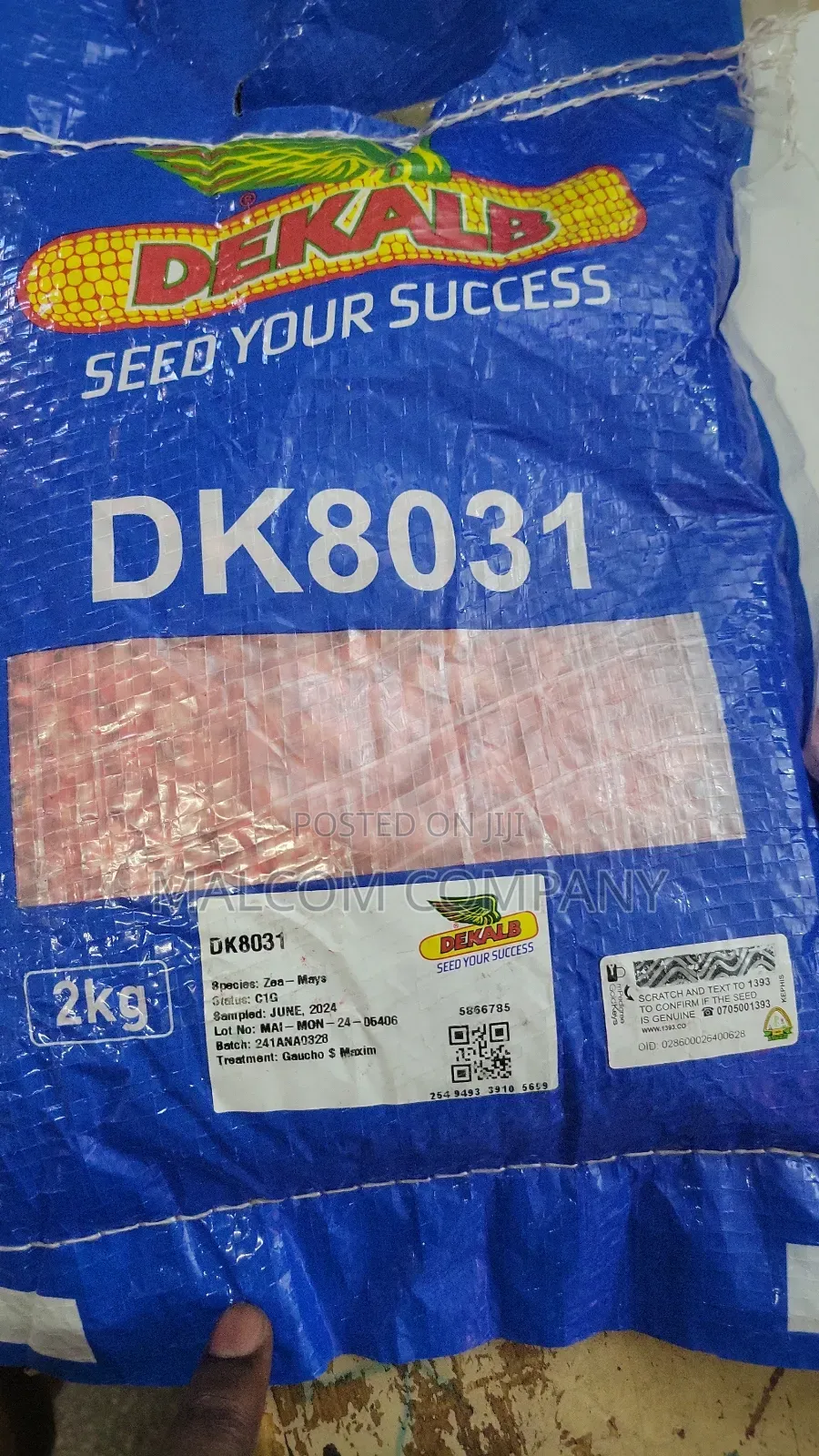 Dk 8031 Hybrid Maize Seeds 2kg