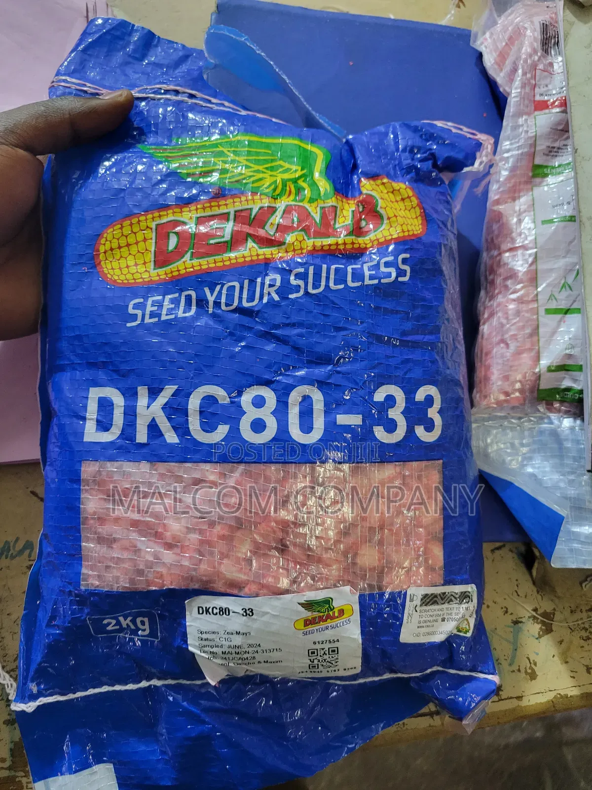 Dk 80-33 Hybrid Maize Seeds 2kg.