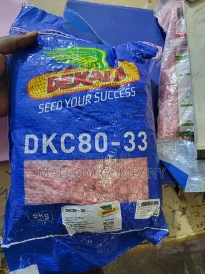 Dk 80-33 Hybrid Maize Seeds 2kg.