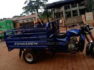 Tricycle 2023 Blue
