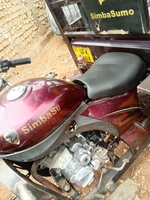 Tricycle 2023 Brown