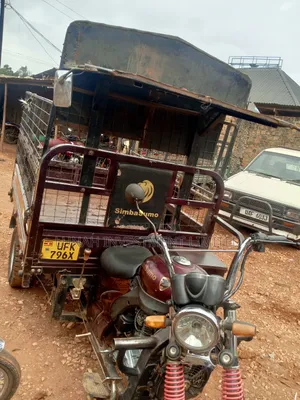 Tricycle 2023 Purple