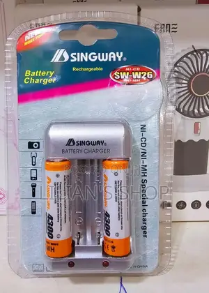 Singway Battery Charger With 2 Batteries