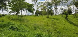 3 Acres at 360m Kangulumira, Kayunga Just Next to Wildwaters