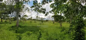 3 Acres at 360m Kangulumira, Kayunga Just Next to Wildwaters