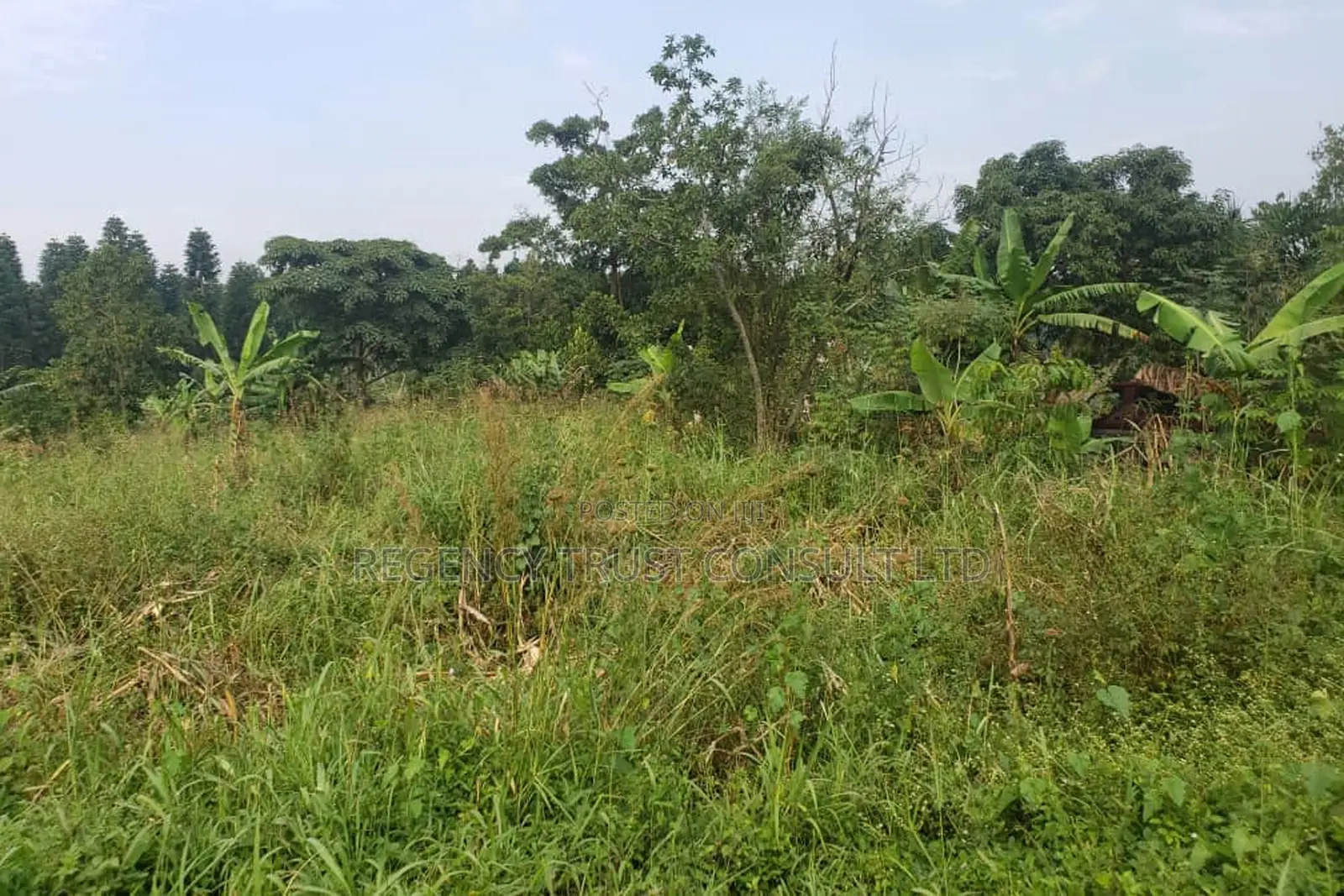 14 Acres of Land Available for Sale in Kasayi, Mukono