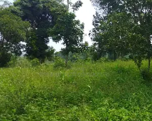 14 Acres of Land Available for Sale in Kasayi, Mukono