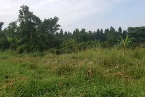 14 Acres of Land Available for Sale in Kasayi, Mukono