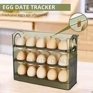 Eggs 3 Decker Storage Box/ Tray