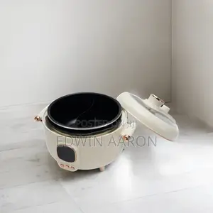 Multi-Functional Dual Electric Pressure Cooker 4L