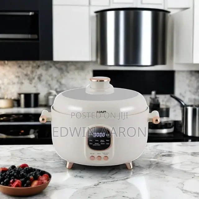 Multi-Functional Dual Electric Pressure Cooker 4L