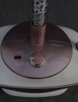 Multifunctional Silver Crest Garment Steamer