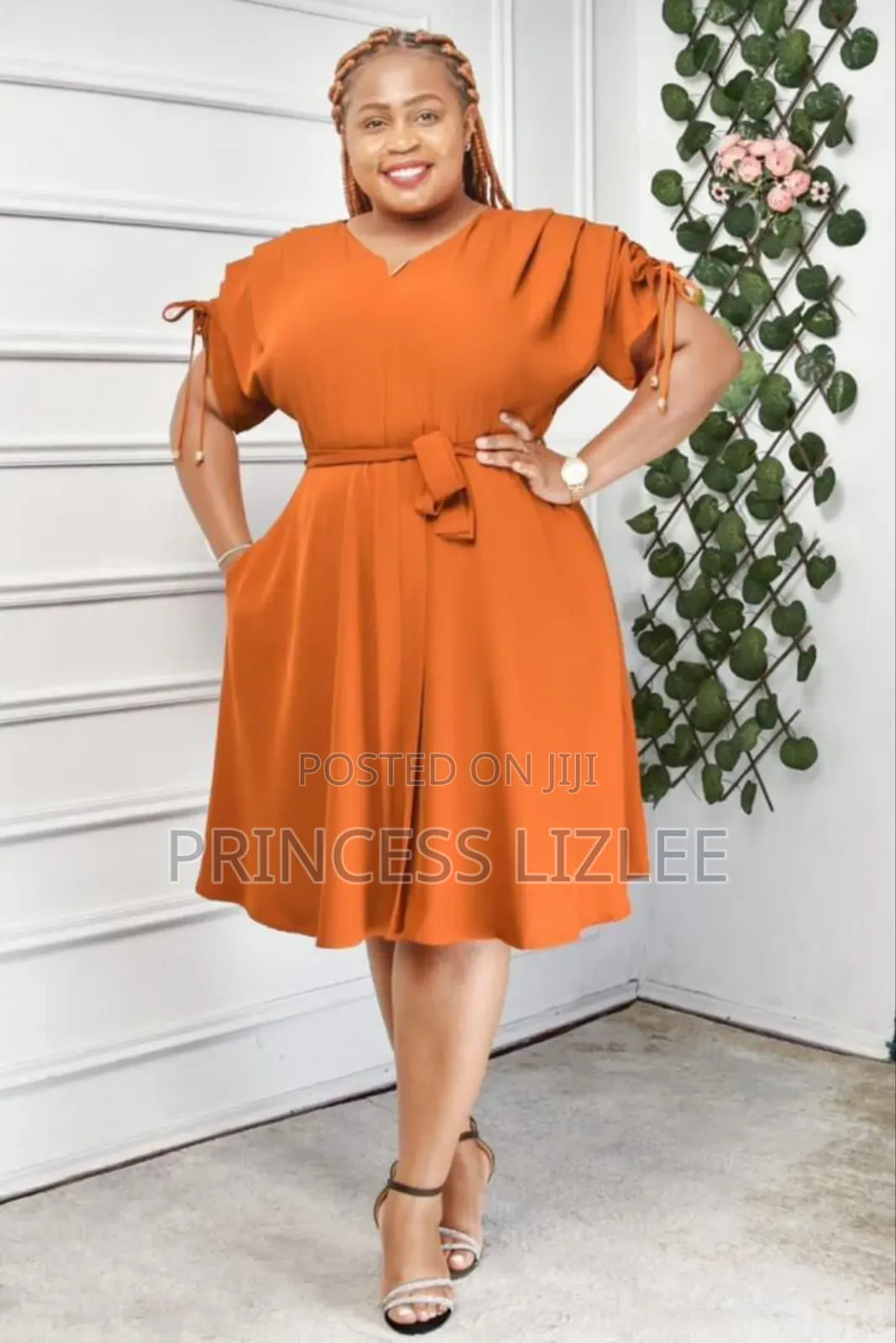 Ladies Elegant Dress