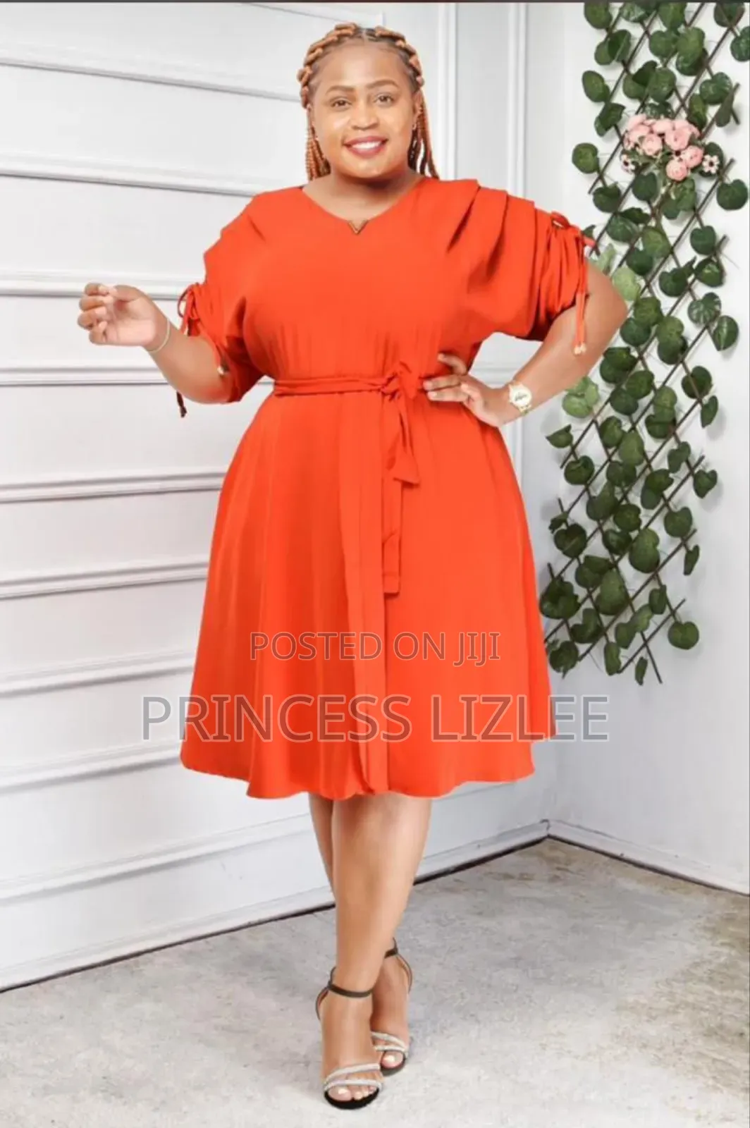 Ladies Elegant Dress