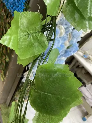 Climbing Leaves