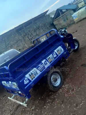 Tricycle Ihemas 2023 Blue