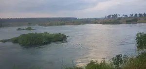 3 Acres on the River Nile, Kangulumira.