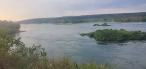 3 Acres on the River Nile, Kangulumira.