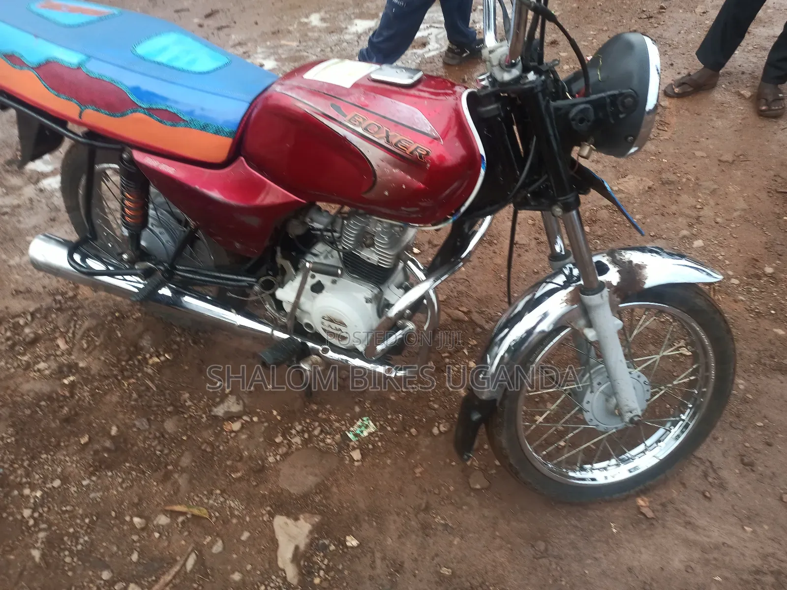 Bajaj Boxer 100 2022 Red