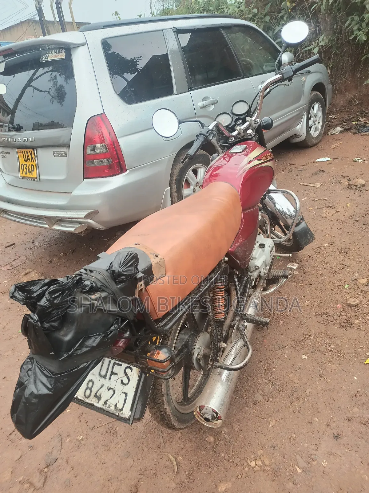 Bajaj Boxer 100 2024 Red