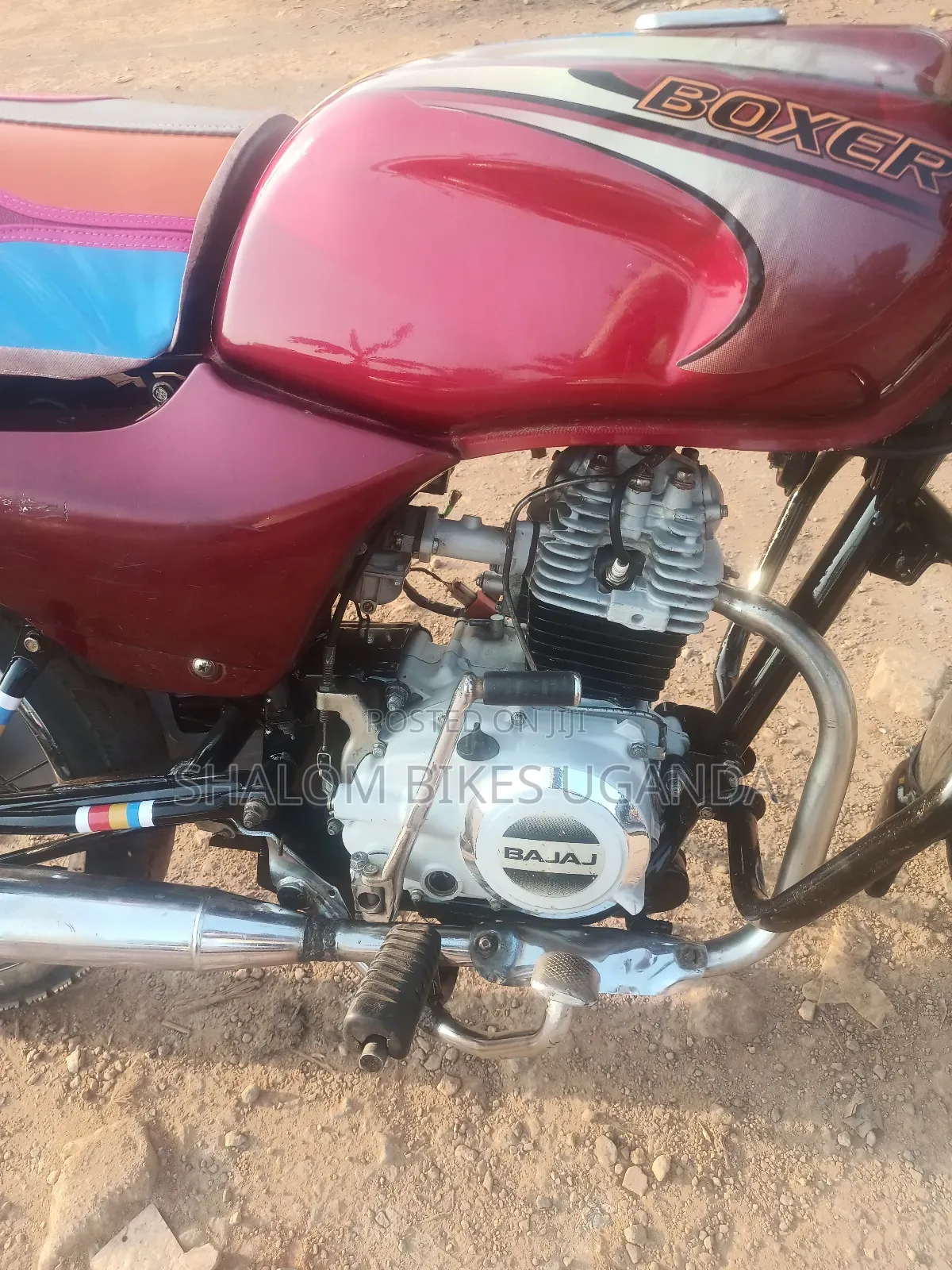 Bajaj Boxer 100 2024 Red