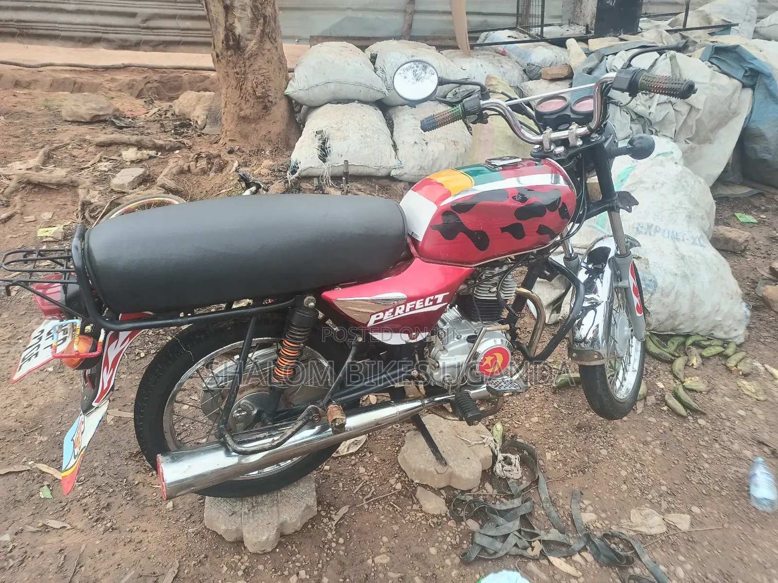 Motorcycle 2022 Red