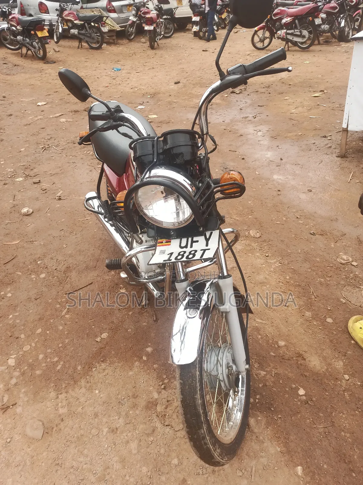 Bajaj Boxer 100 2023 Red