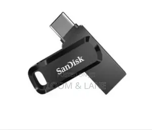 Sandiskdual Drive Go USB Type-c
