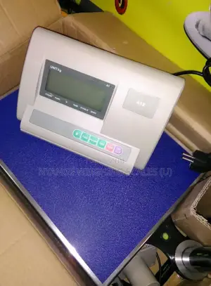 Stainless Steel A12 Weigh Scale Digital Weigh Platform Weighing Scale