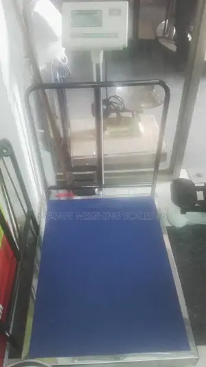 Industrial Weighing Scale 300kg Weigh Electronic Weighing Scale