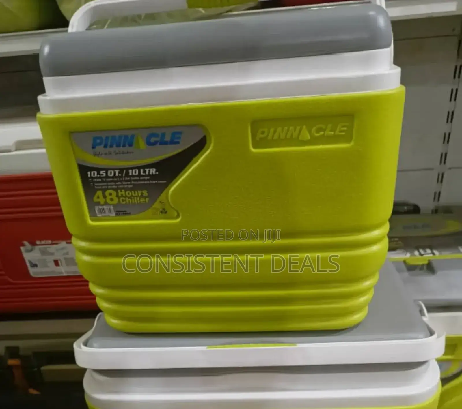 Pinnacle 10L Ice Cooler Box