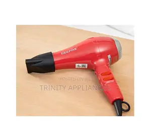 Geepas Hair Dryer Gh8078