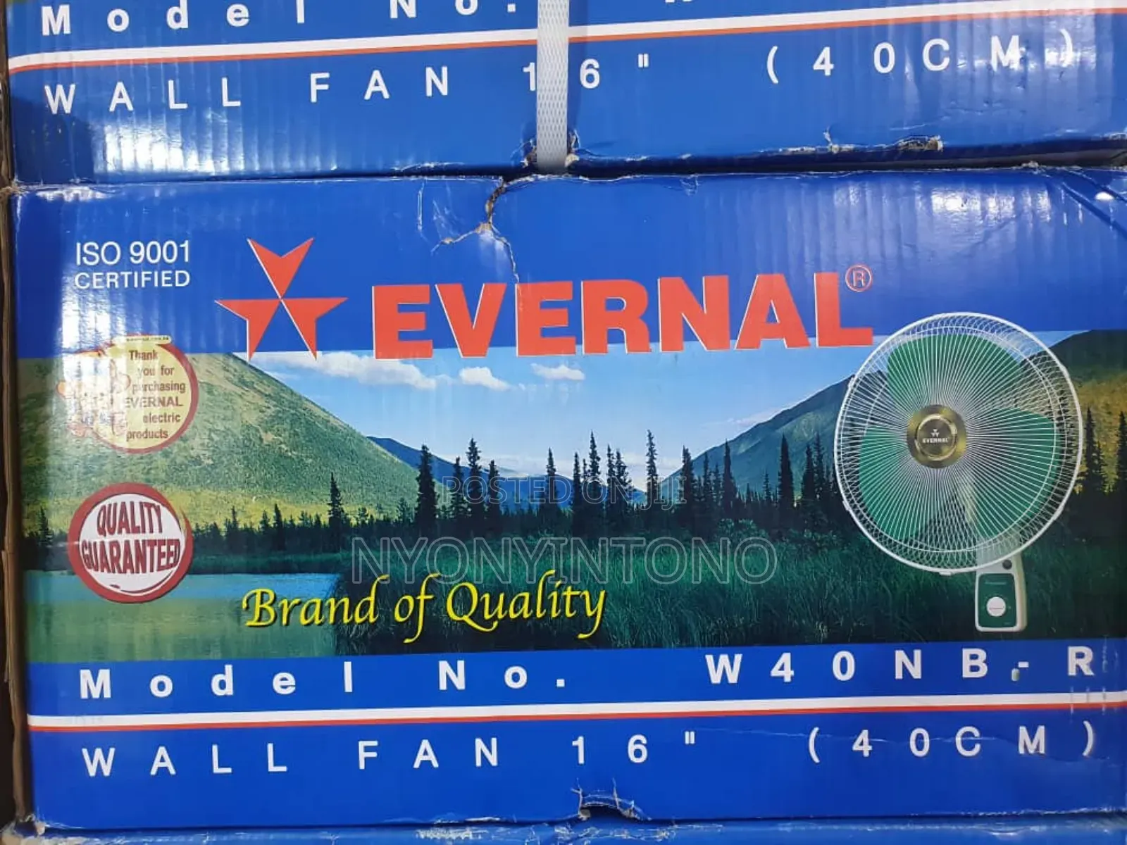 Evernal High Quality Wall Fan With 5years Warranty.