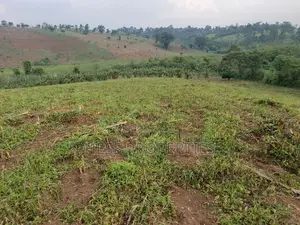 3acres of Land on Sale Located in Kyenjojo Town Council -Nto