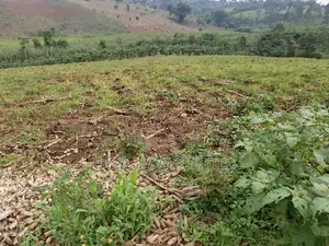 3acres of Land on Sale Located in Kyenjojo Town Council -Nto