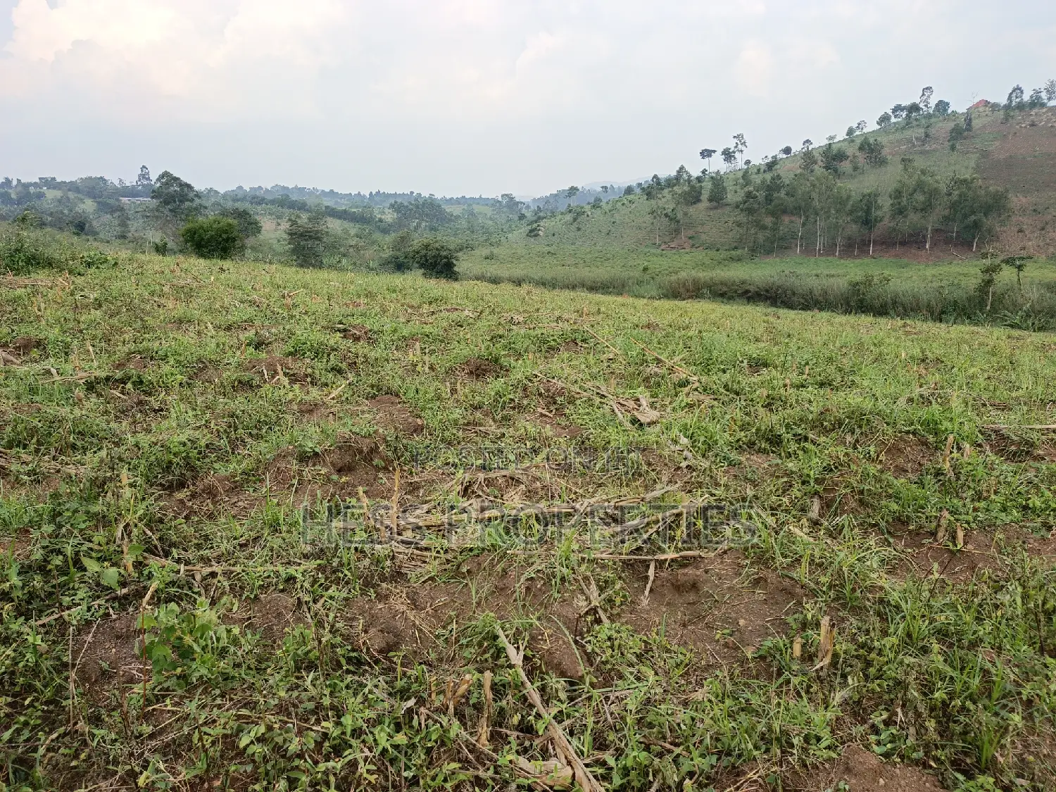3acres of Land on Sale Located in Kyenjojo Town Council -Nto