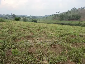 3acres of Land on Sale Located in Kyenjojo Town Council -Nto