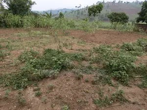 3acres of Land on Sale Located in Kyenjojo Town Council -Nto