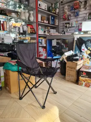 Camping/Beach Chair